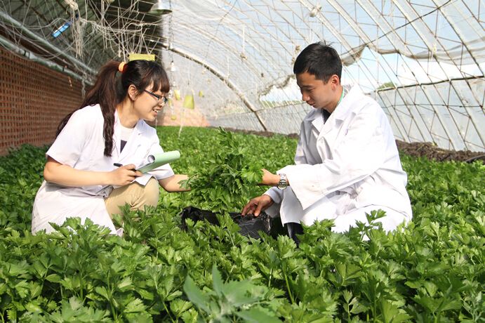 1569204363919956.jpg 檢驗(yàn).jpg