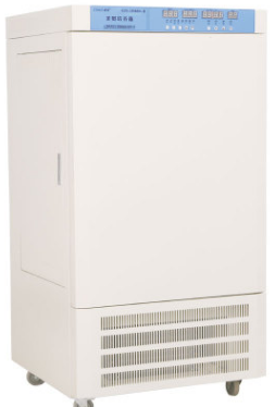 1577323241841634.png 新苗.png